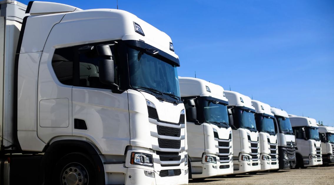 D'global Partners Llc fleet